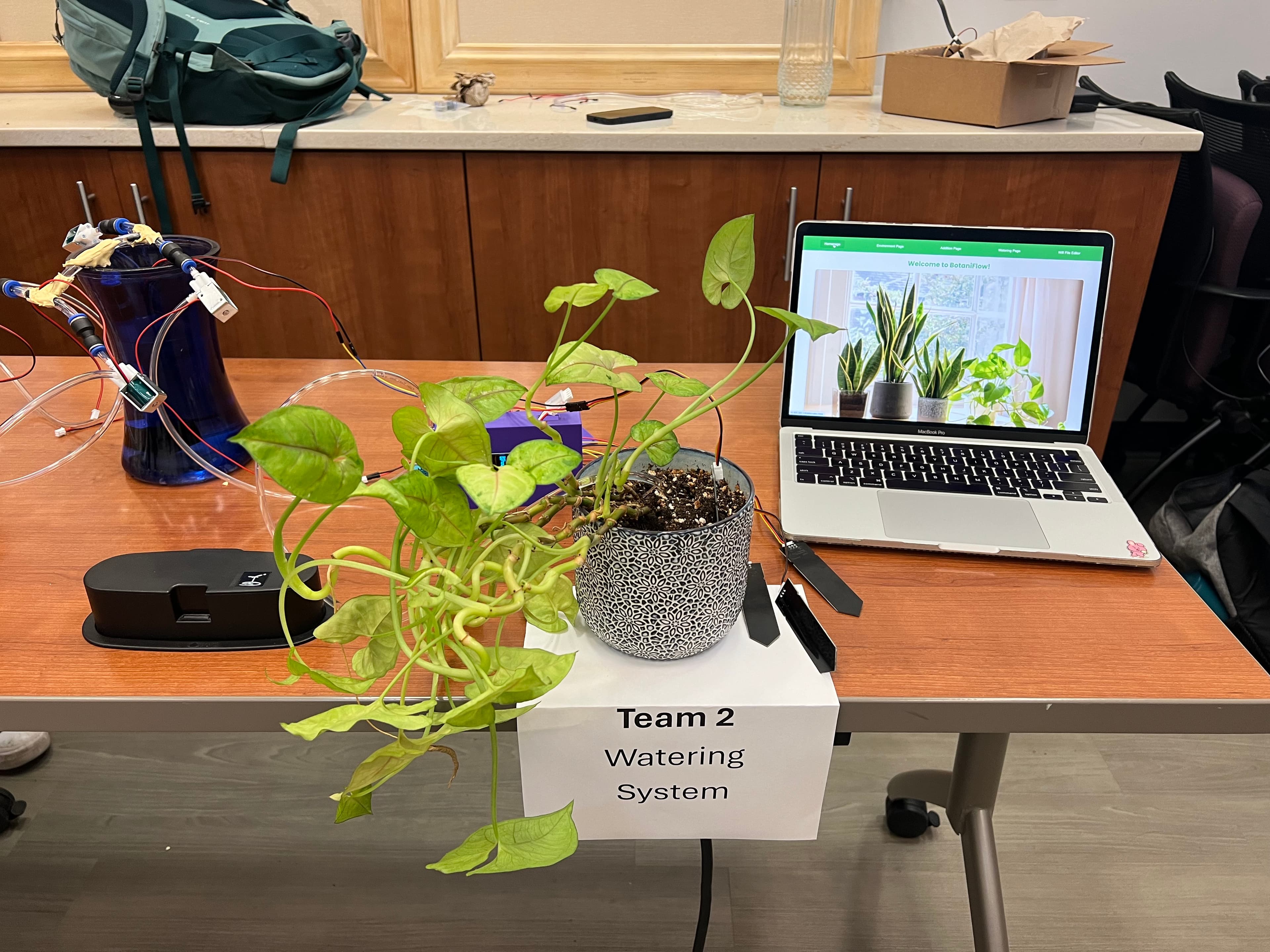 Botani-Flow assembled and running at the project fair, laptop showing the live BotaniFlow dashboard next to the potted plant and 3D-printed electronics enclosure